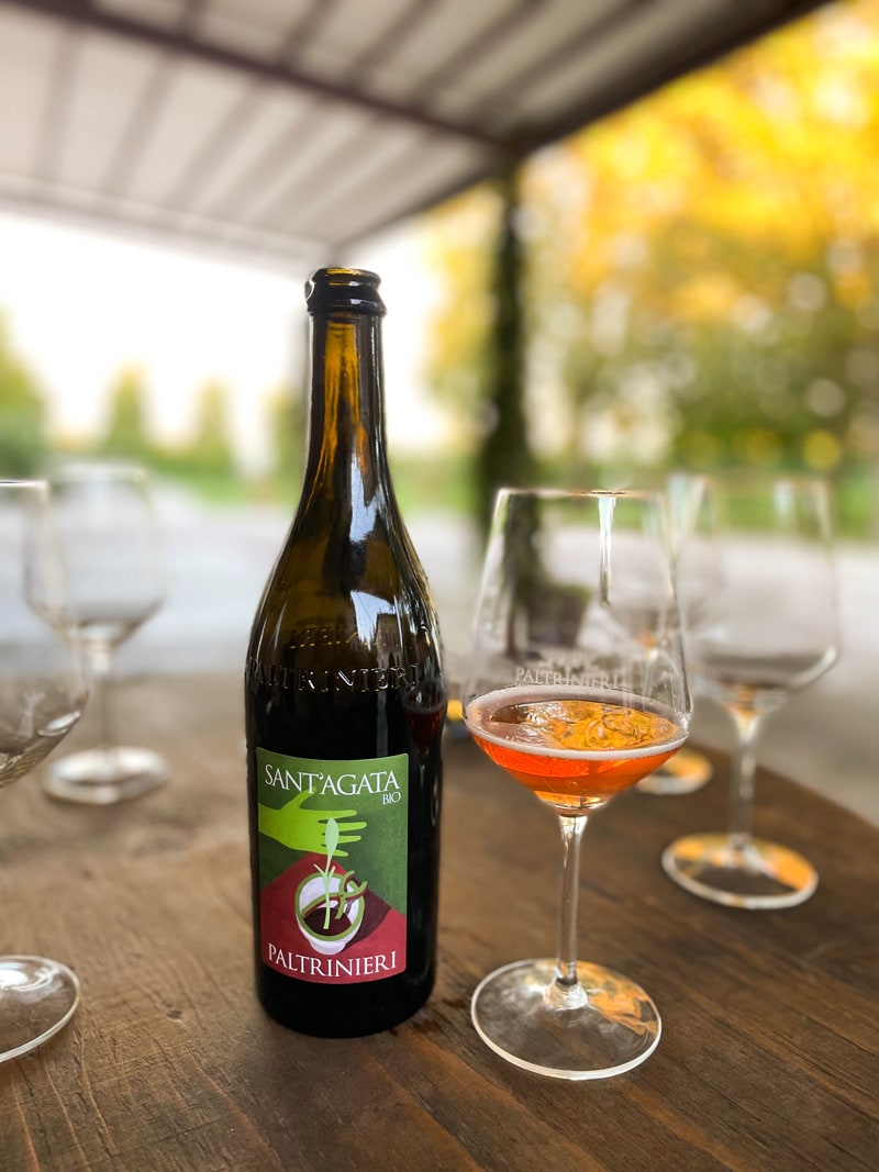 Lambrusco di Sorbara Paltrinieri