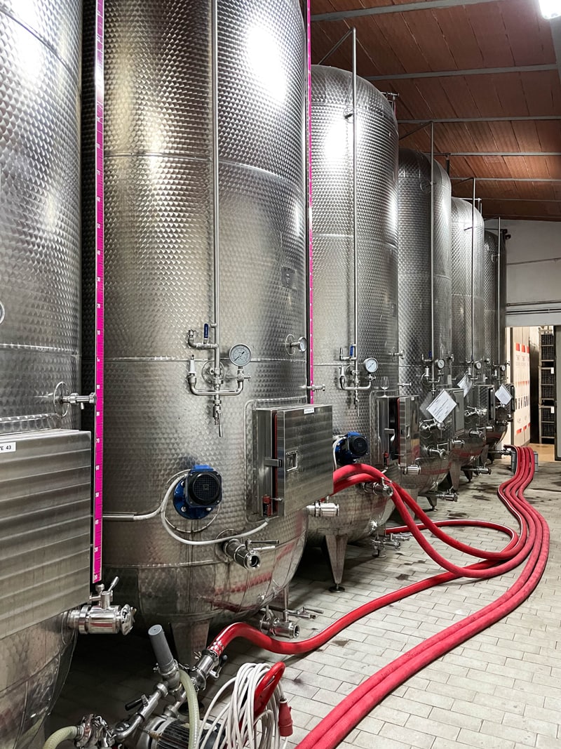 lambrusco production