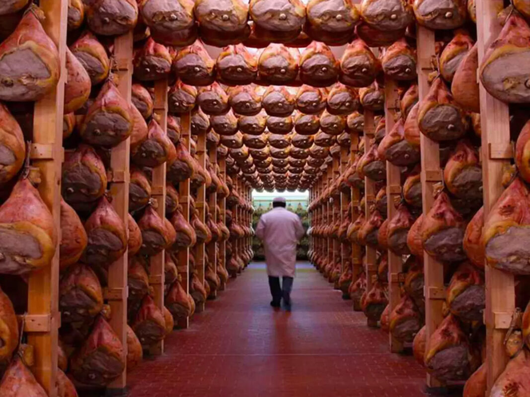 prosciuttos hanging to dry
