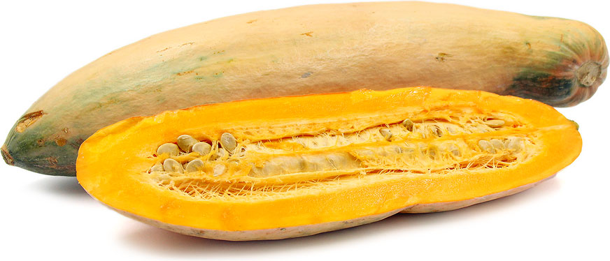 Banana Squash