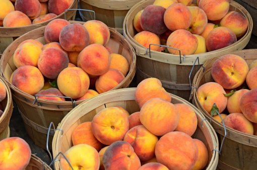 Basket of peaches