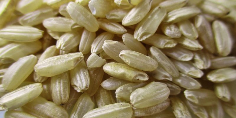 Carnaroli rice