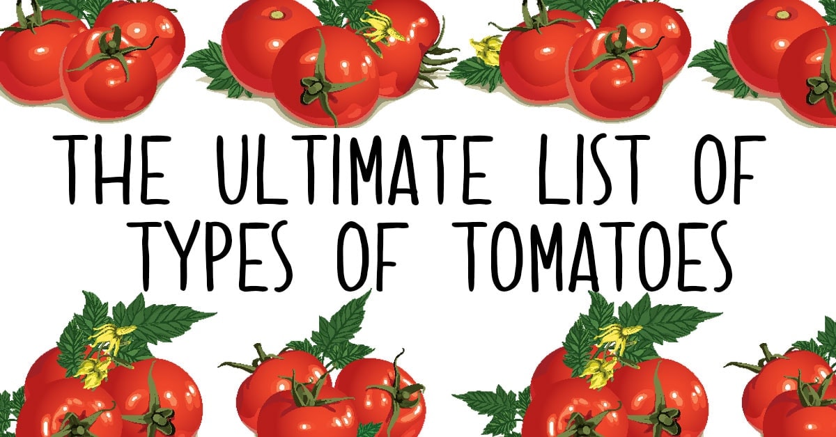 Types of Tomatoes