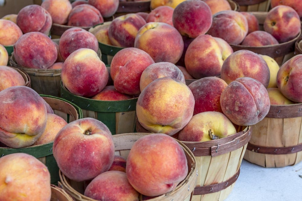 Cases of Peaches