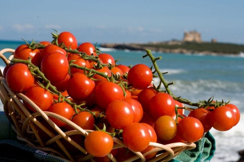 pomodoro pachino tomato