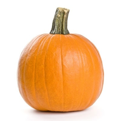 Sugar Pumplin Squash