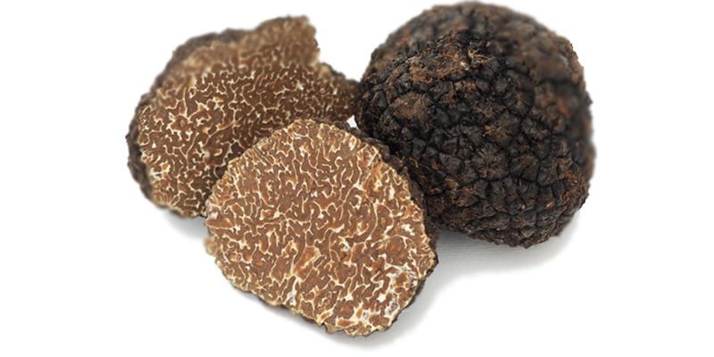 Tuber Aestivum Vitt