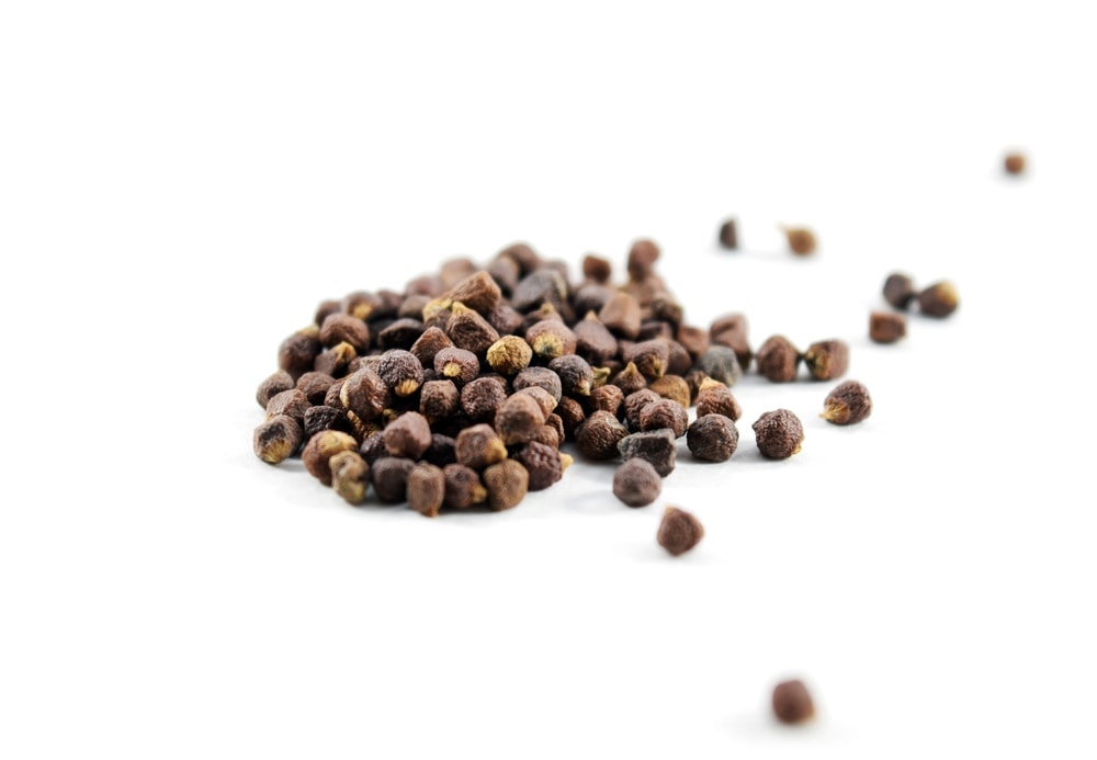 Organic grains of paradise (Aframomum melegueta)