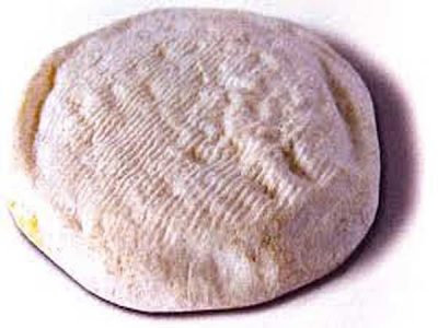 beddo cheese