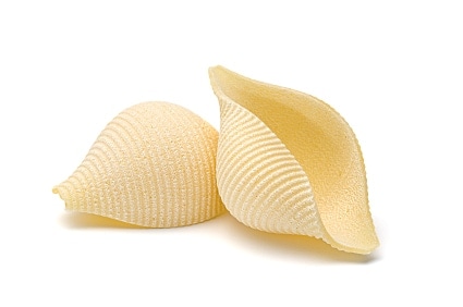 conchiglie