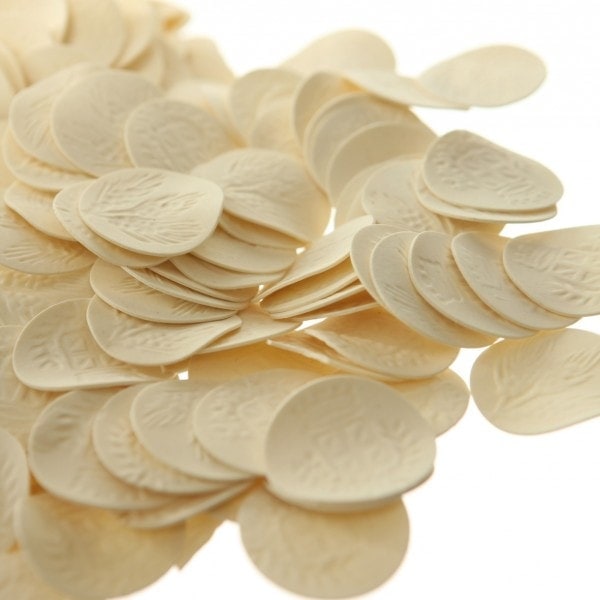 croxetti