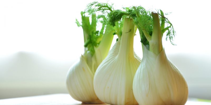 fennel