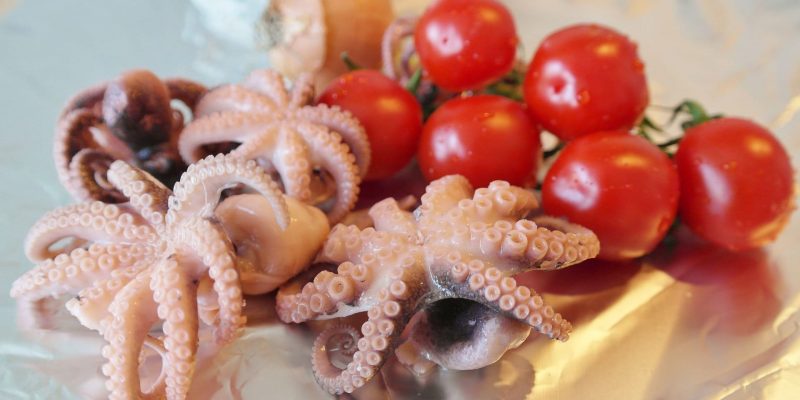 octopus