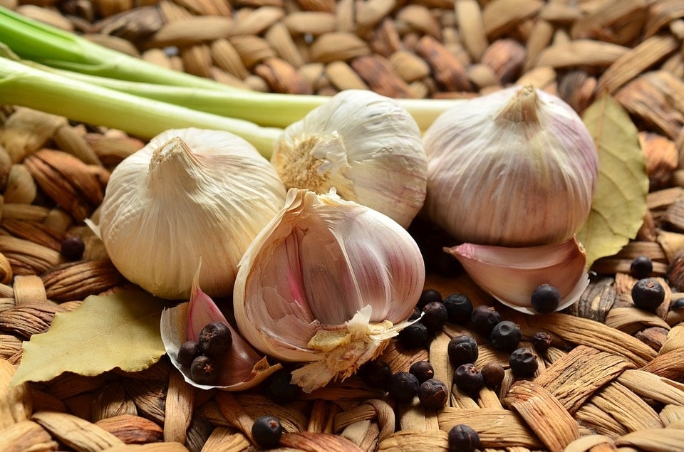 garlic seasoning