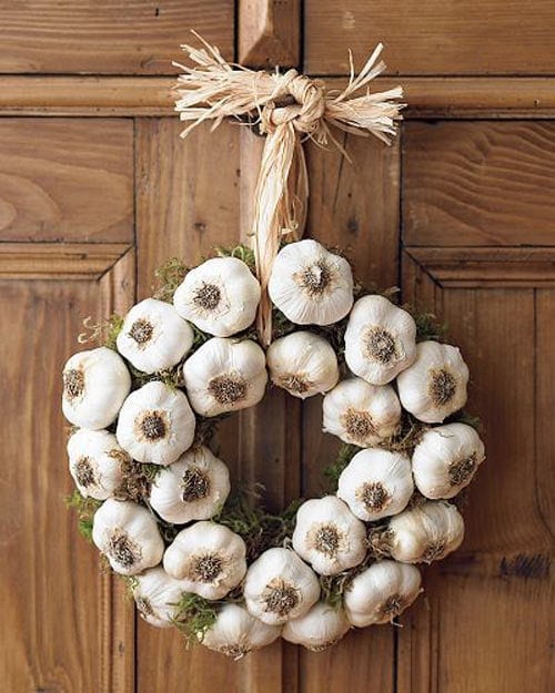 Garlic wreath on the door