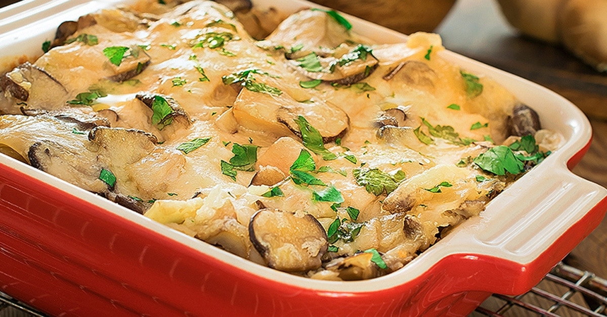 mushroom lasagna recipe
