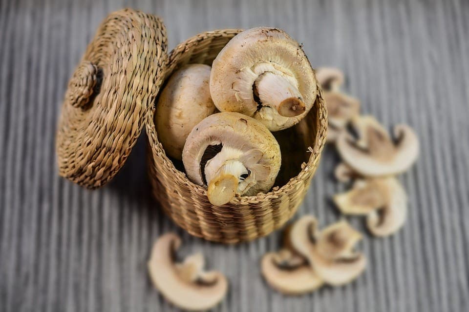 Shiitake mushrooms