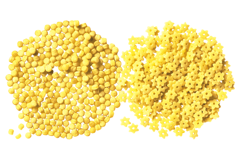 pastina