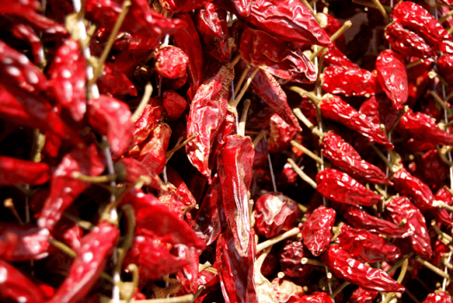 Hot Calabrian Chili
