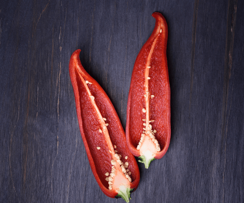 Cabrian chili seeds