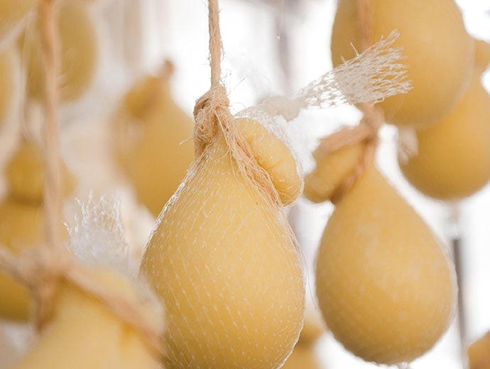 scamorza cheese
