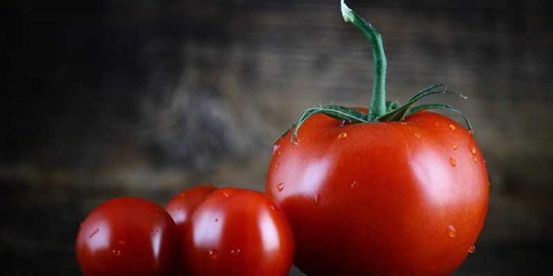 Tomato Marinara Sauce
