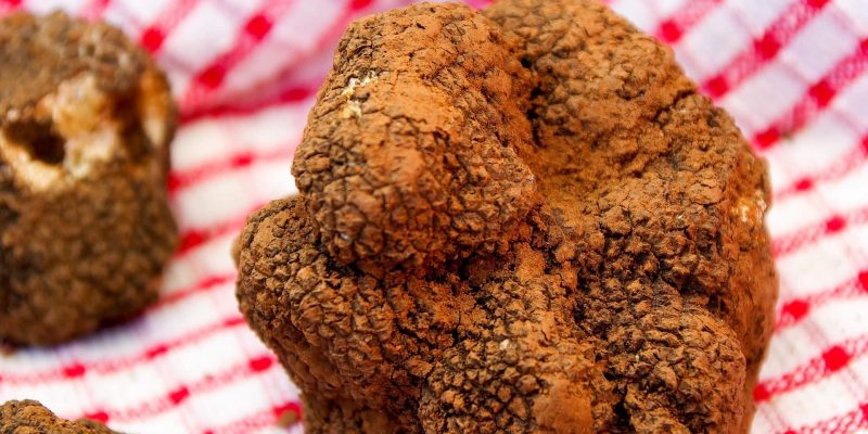 truffles